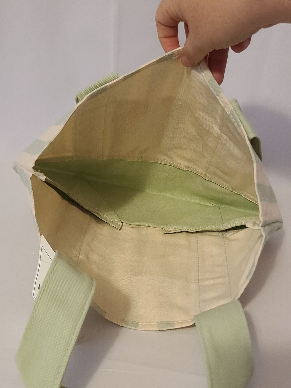 Trader Joe's Green Striped Mini Canvas Tote Bag - Picture 5 of 9